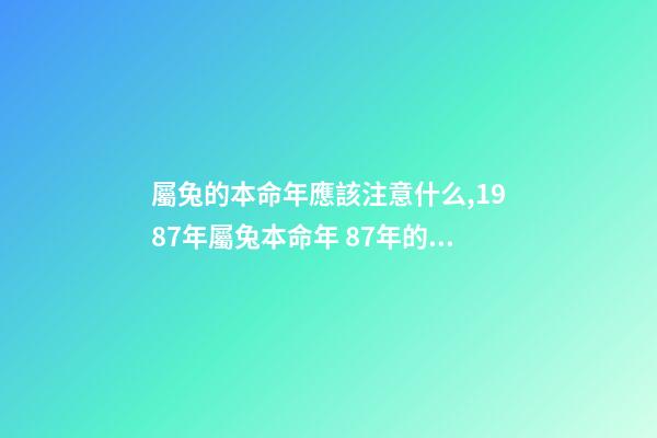 屬兔的本命年應該注意什么,1987年屬兔本命年 87年的兔子應該注意的什么-第1張-觀點-玄機派